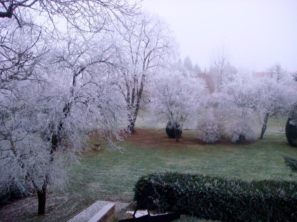 Bed and Breakfast L'Atelier Du Relais Laives Esterno foto